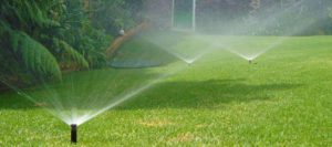 mantenimiento de jardines