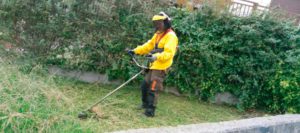 mantenimiento de jardines