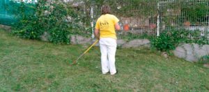 mantenimiento de jardines