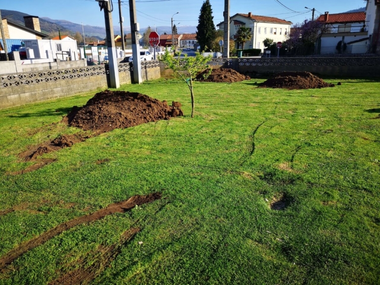Excavación en jardín
