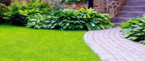 Mantenimiento De Jardines En Cantabria cantabria