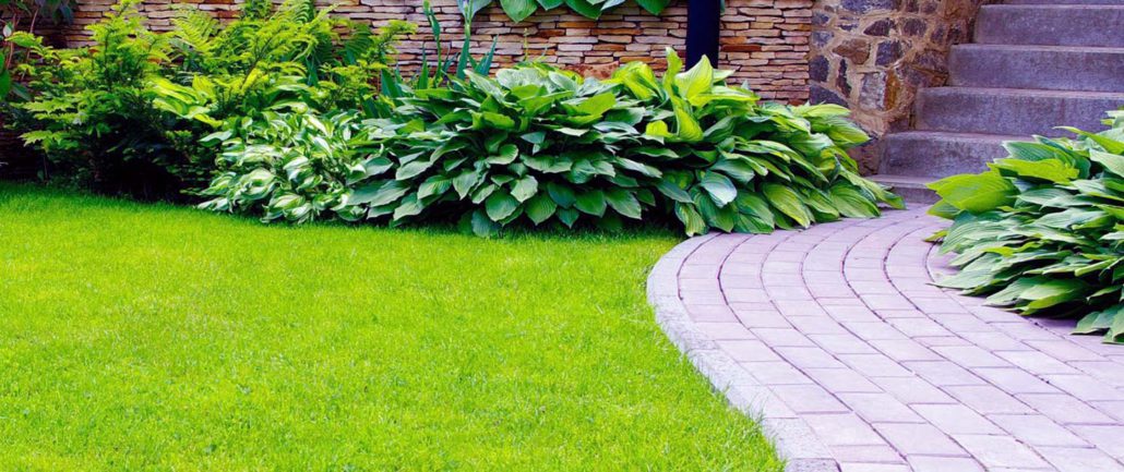 Mantenimiento De Jardines En Cantabria cantabria